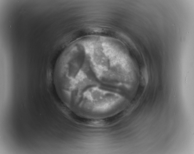 X0000103250410200809181609