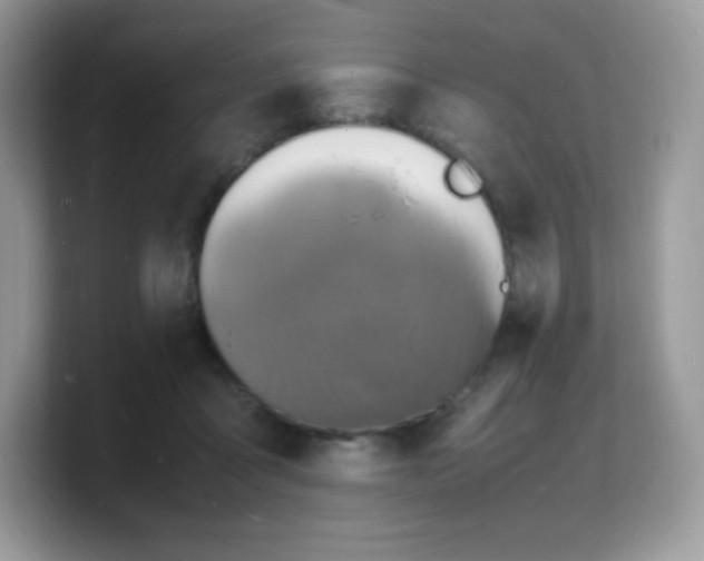 X0000103250411200809181609