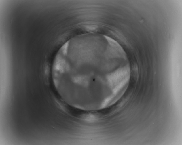 X0000103250412200809181609