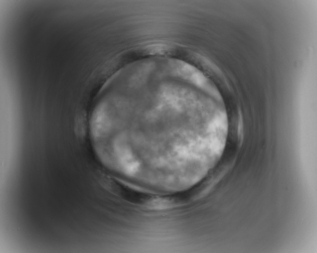 X0000103250413200809181609