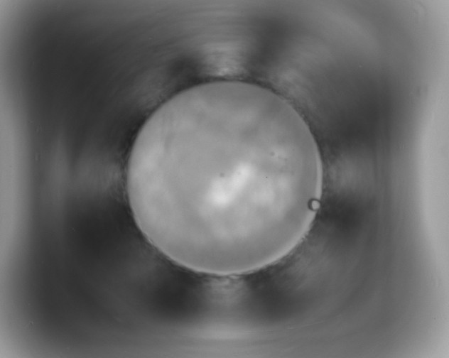 X0000103250415200809181609