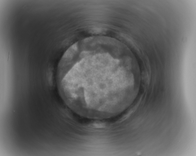 X0000103250416200809181609