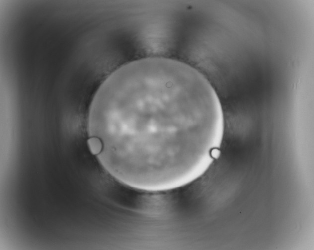 X0000103250419200809181609