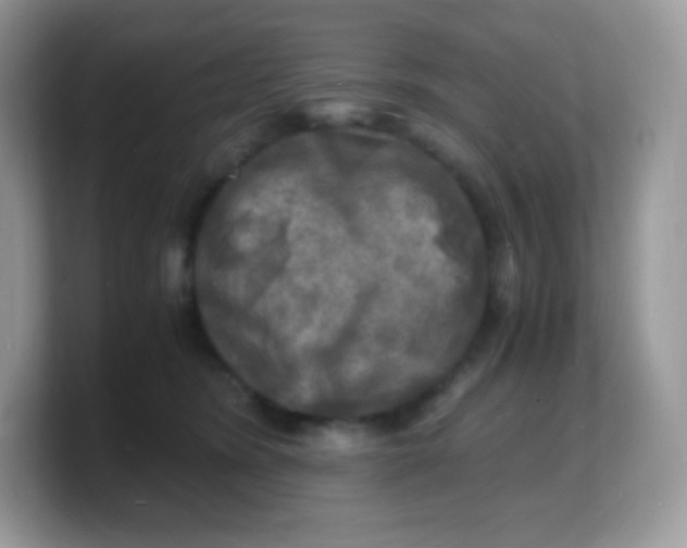 X0000103250420200809181609
