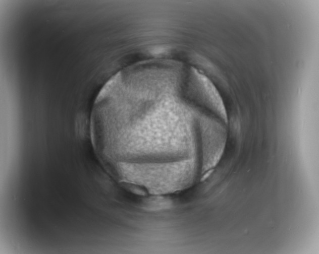 X0000103250421200809181609