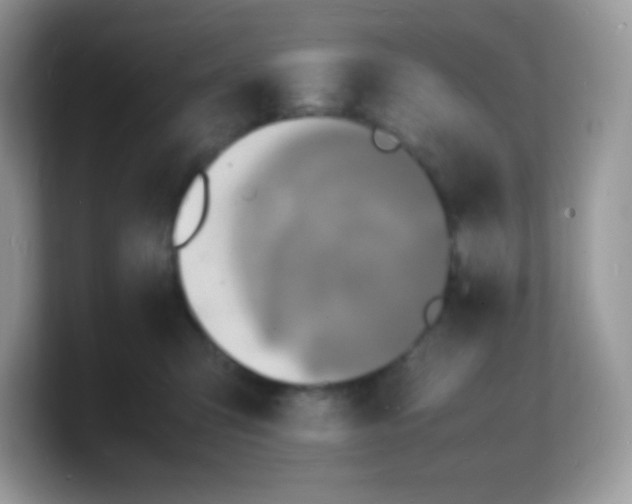 X0000103250423200809181608
