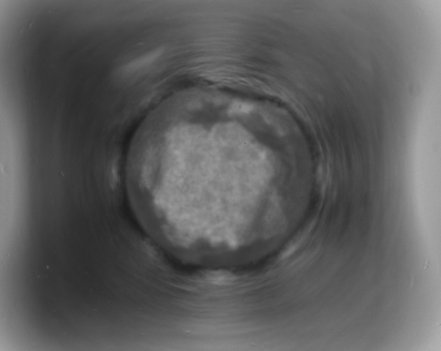 X0000103250424200809181608