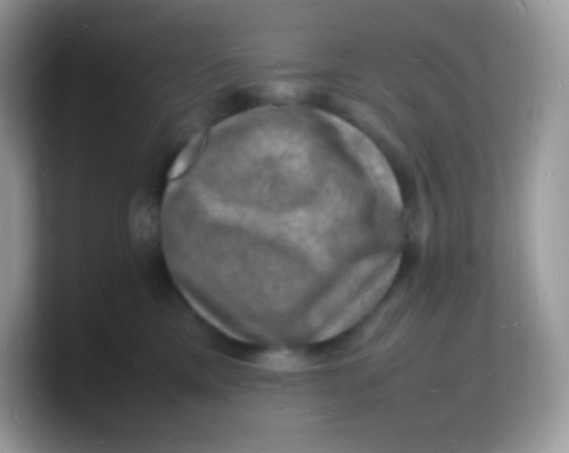 X0000103250425200809181608