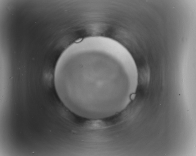 X0000103250427200809181608