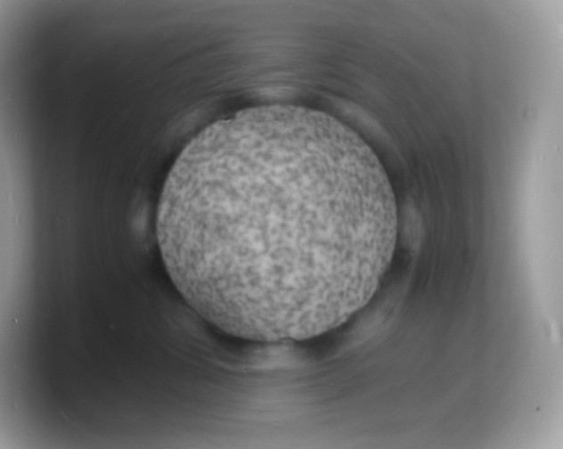 X0000103250428200809181608