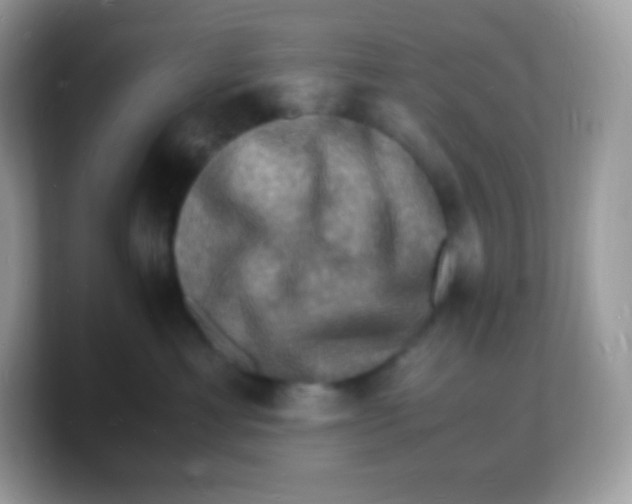 X0000103250429200809181608