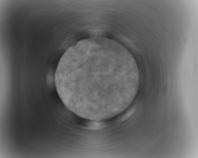X0000103250432200809181608