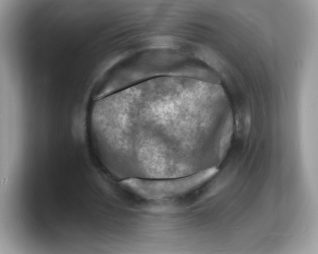 X0000103250436200809181608
