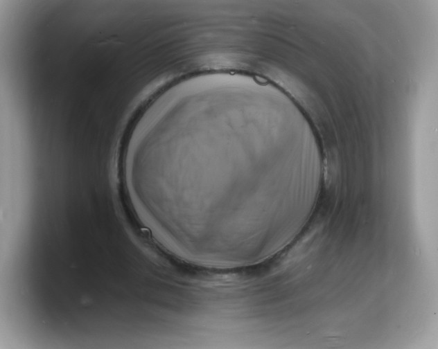 X0000103250438200809181608