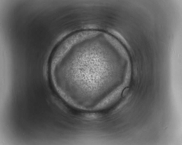 X0000103250439200809181608