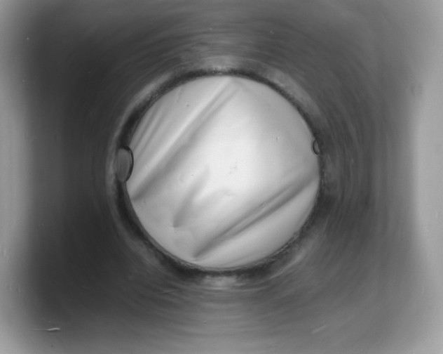 X0000103250440200809181608