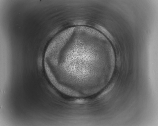 X0000103250441200809181608