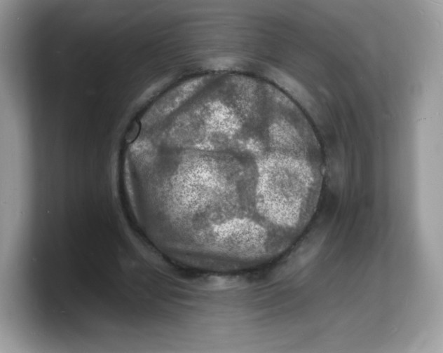 X0000103250442200809181608