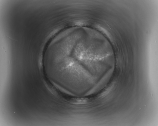 X0000103250443200809181608