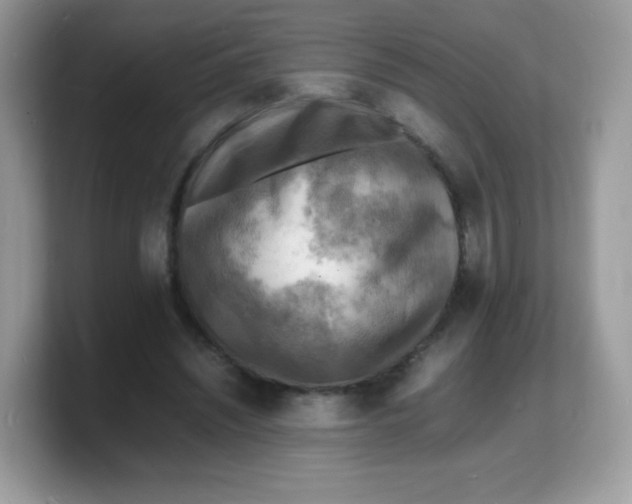 X0000103250444200809181608