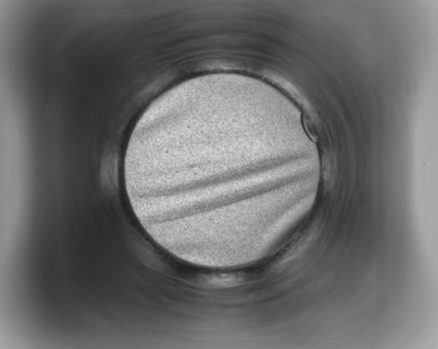 X0000103250445200809181608