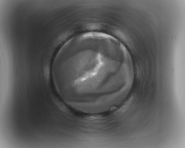 X0000103250447200809181608