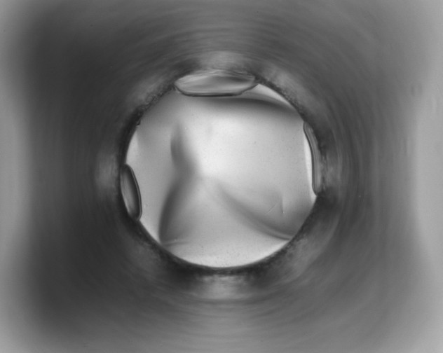 X0000103250448200809181608