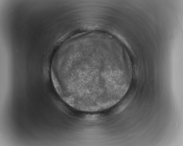 X0000103250450200809181608