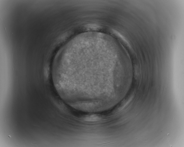 X0000103250451200809181608