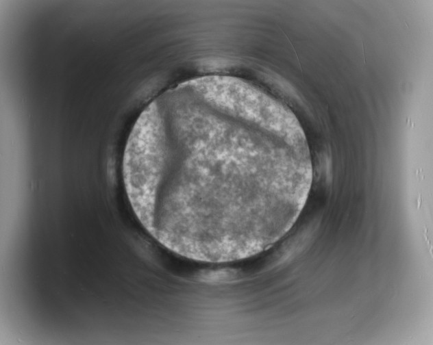 X0000103250452200809181608