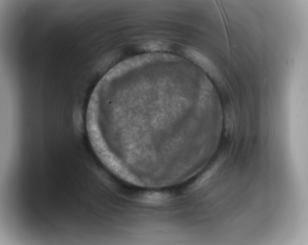 X0000103250453200809181608