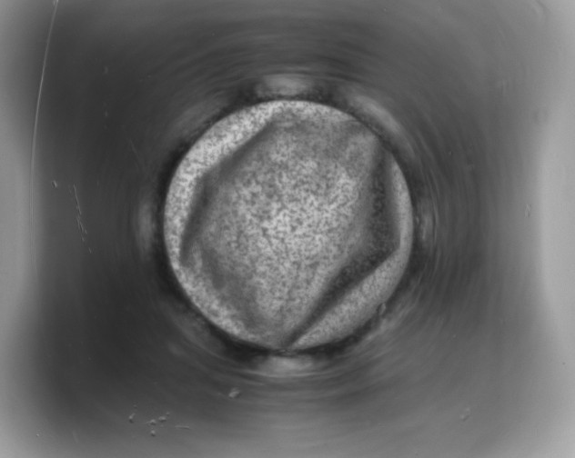 X0000103250455200809181608