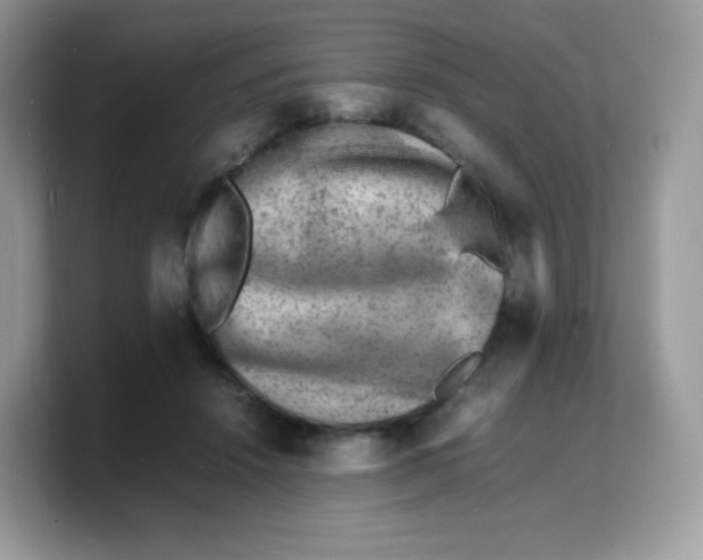 X0000103250456200809181608