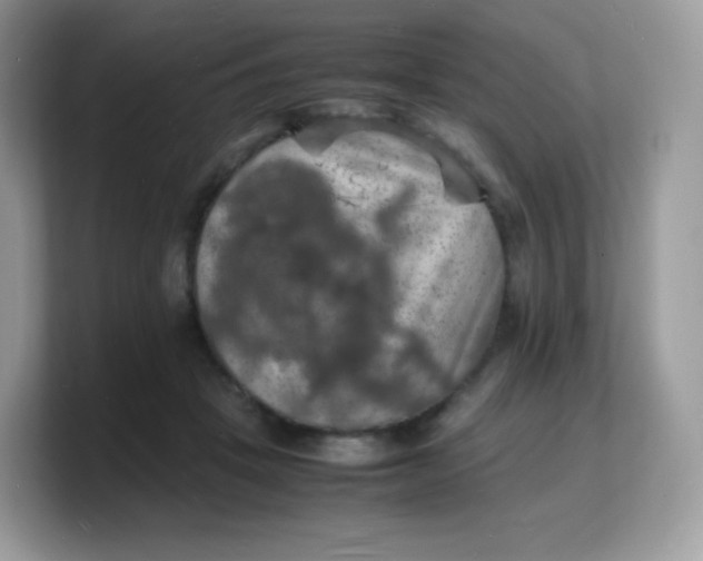X0000103250457200809181608