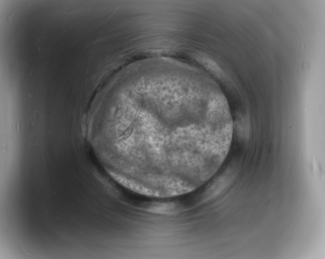 X0000103250458200809181608