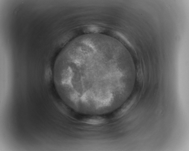 X0000103250459200809181608