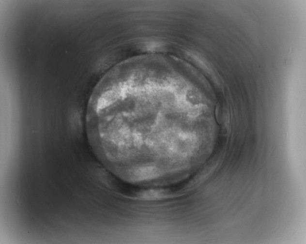 X0000103250461200809181608