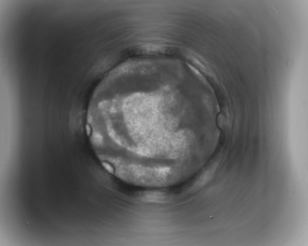 X0000103250462200809181608