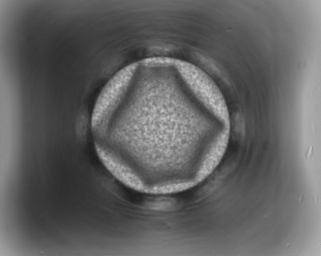 X0000103250463200809181608
