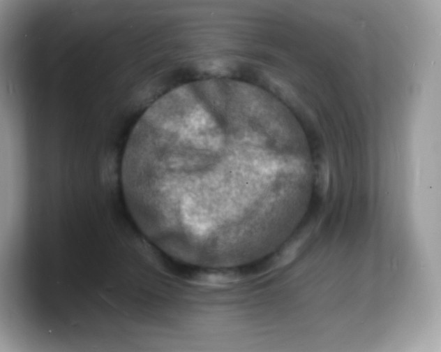 X0000103250466200809181608