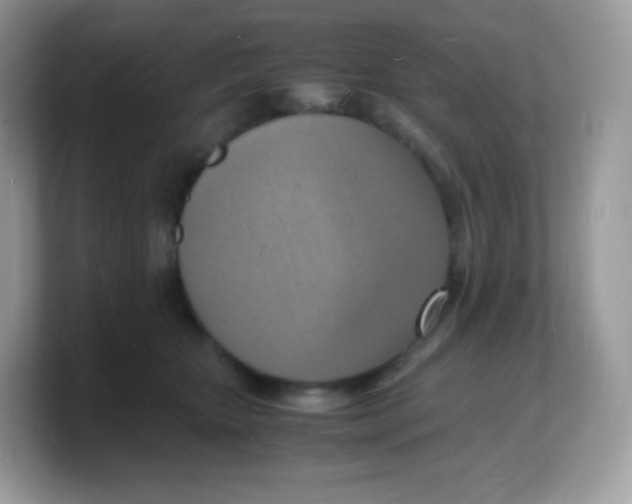 X0000103250467200809181608