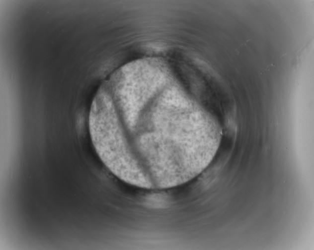 X0000103250468200809181608