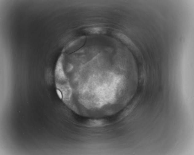 X0000103250469200809181608