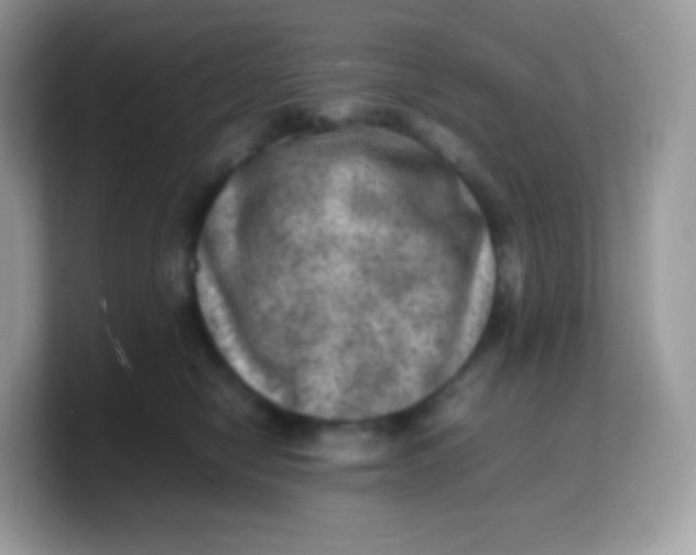 X0000103250470200809181608