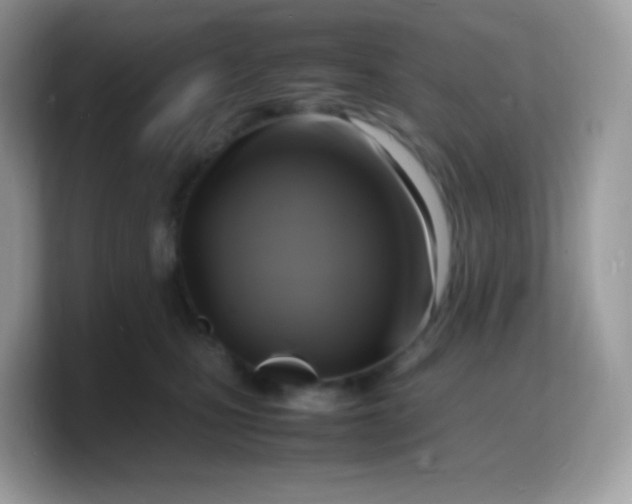 X0000103250471200809181608