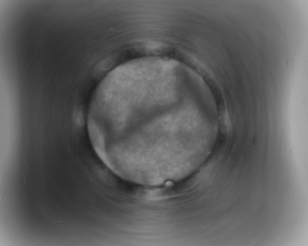 X0000103250472200809181608