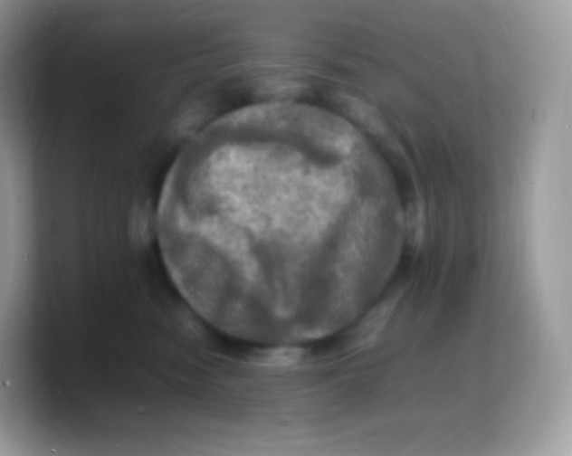 X0000103250474200809181608