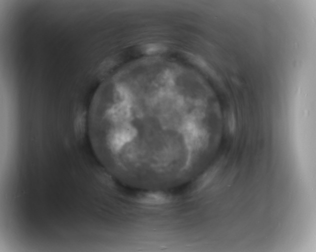 X0000103250475200809181608