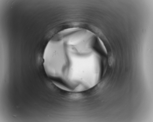X0000103250476200809181608