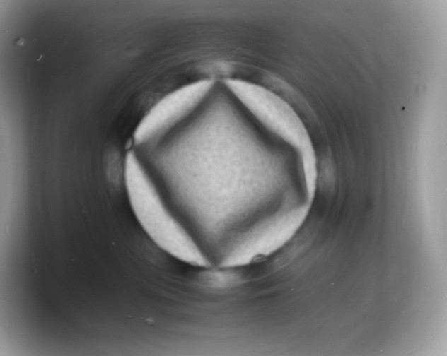 X0000103250477200809181608